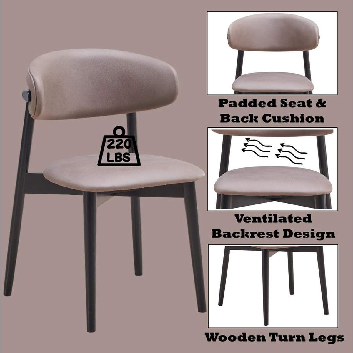 DN02365 Lanae Side Chair - Set of 2