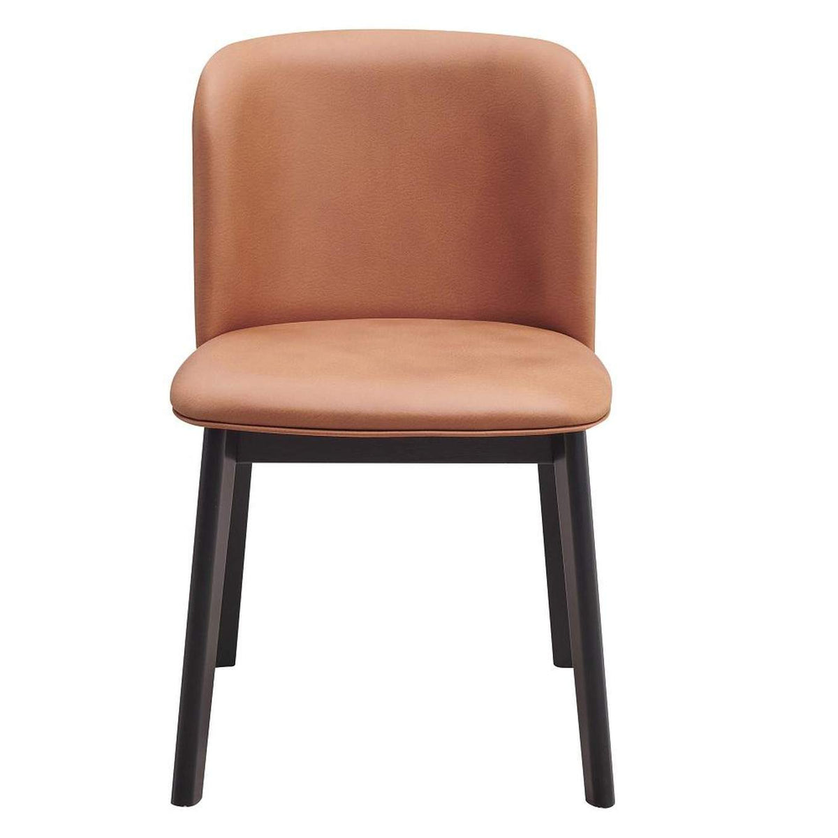 DN02367 Eliora Side Chair - Set of 2