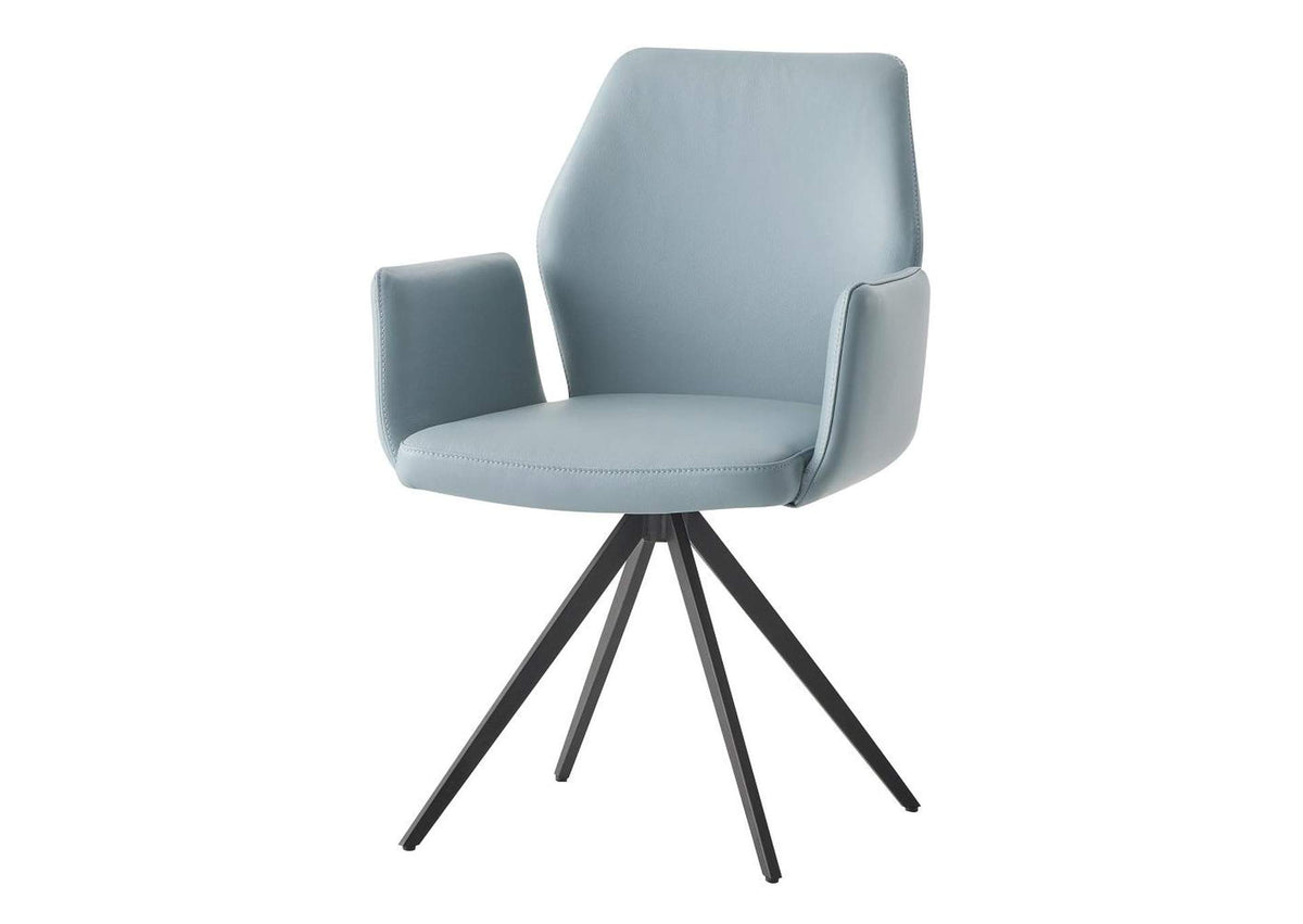 DN02403 Segismunda Arm Chair with Swivel