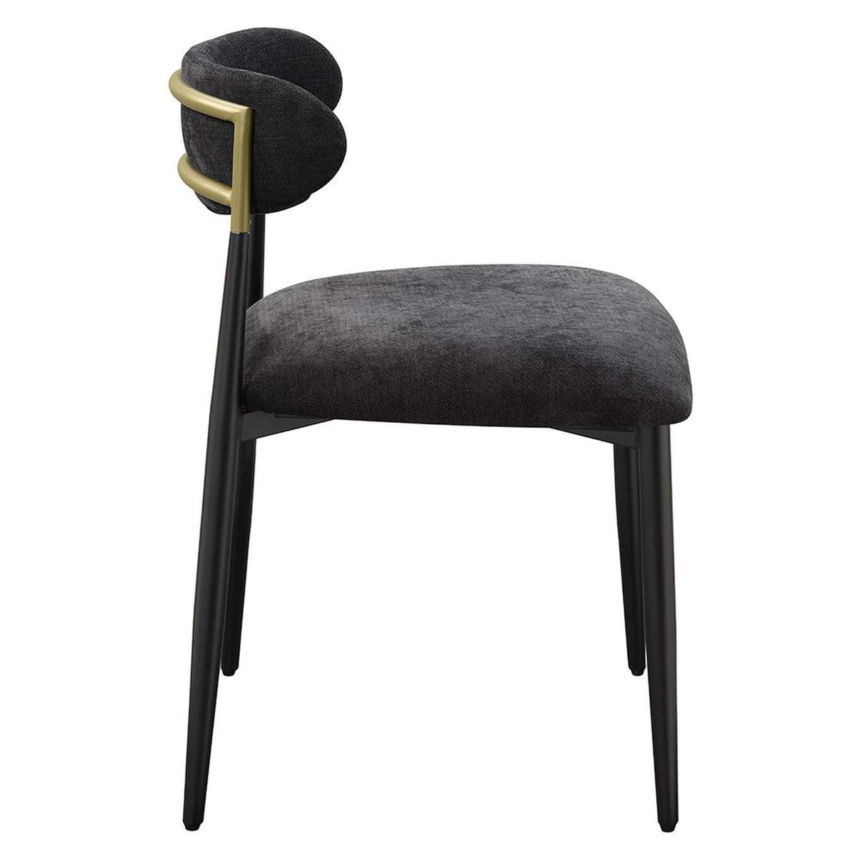 DN02693 Jaramillo Side Chair - Set of 2