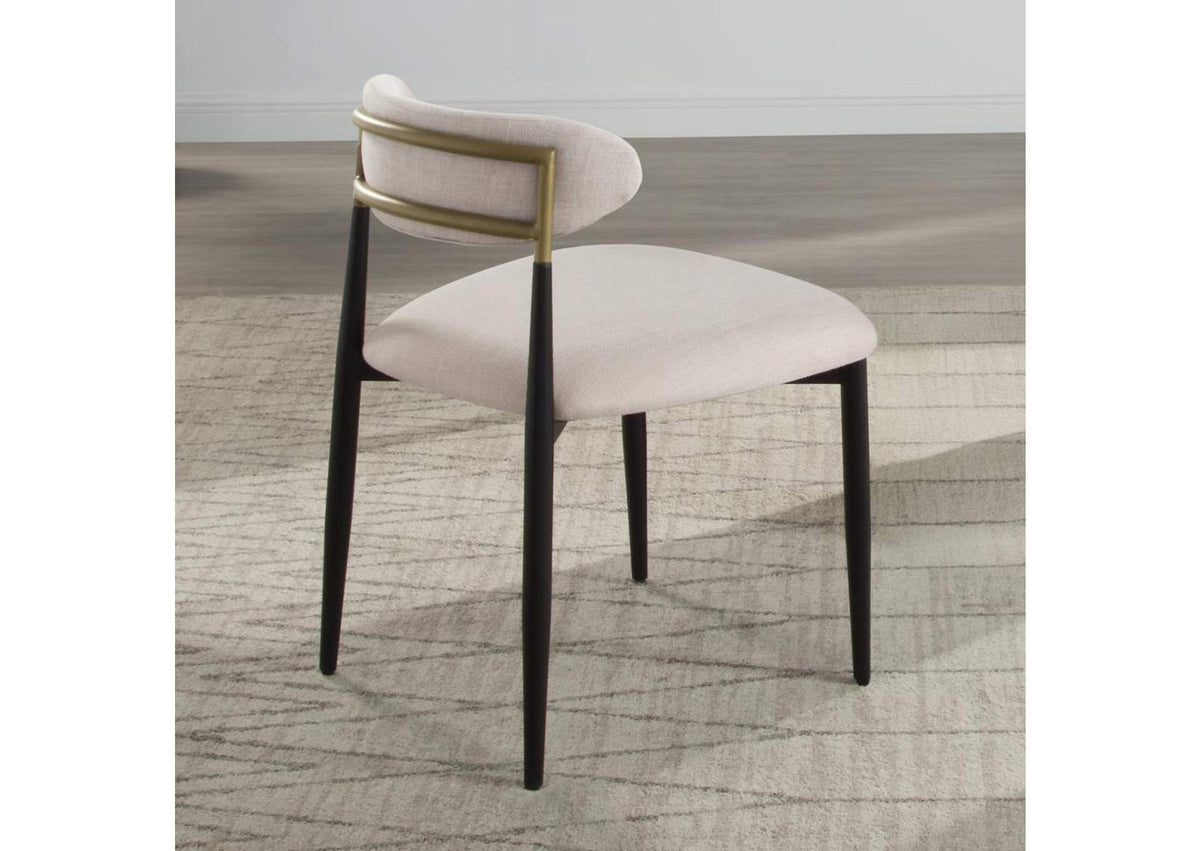 DN02694 Jaramillo Side Chair - Set of 2