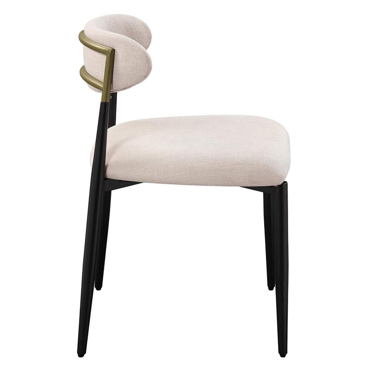 DN02694 Jaramillo Side Chair - Set of 2
