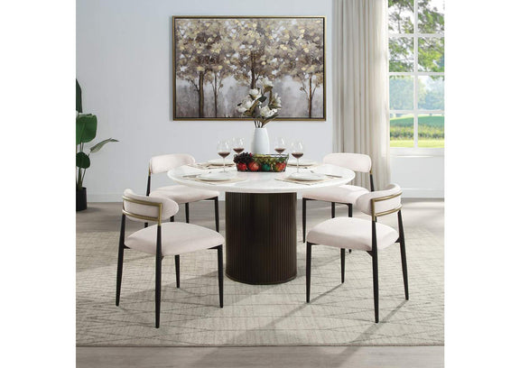 DN02694 Jaramillo Side Chair - Set of 2