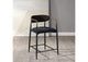 DN02716 Jaramillo Counter Height Chair