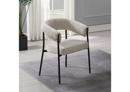 DN03676 Jirina Arm Chair - Set of 2