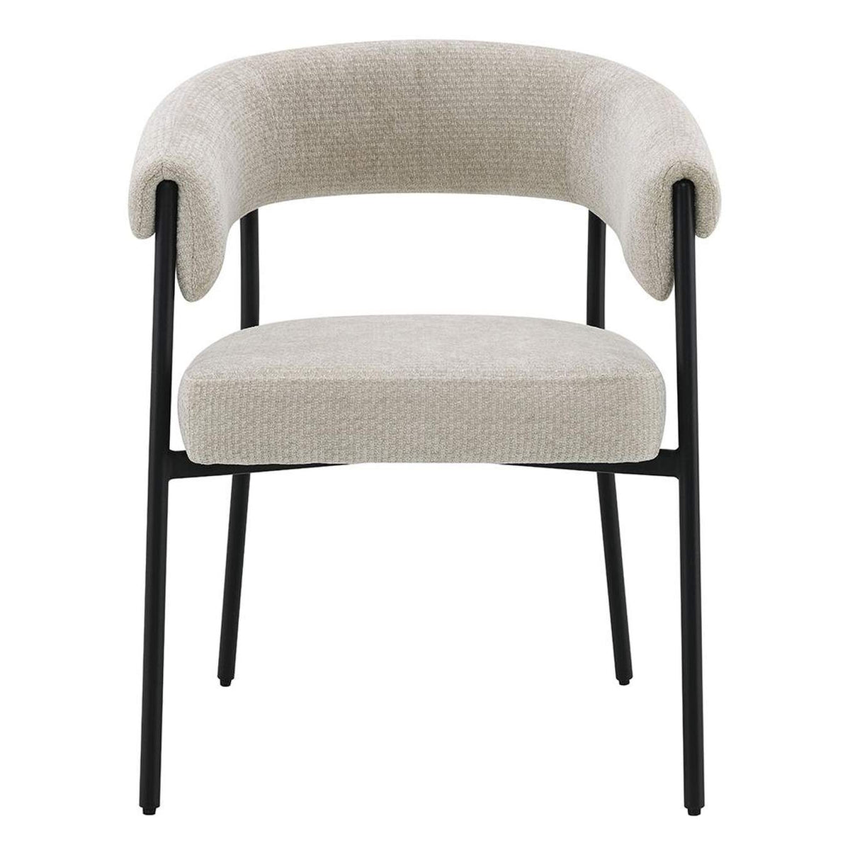 DN03676 Jirina Arm Chair - Set of 2
