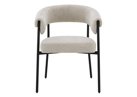 DN03676 Jirina Arm Chair - Set of 2