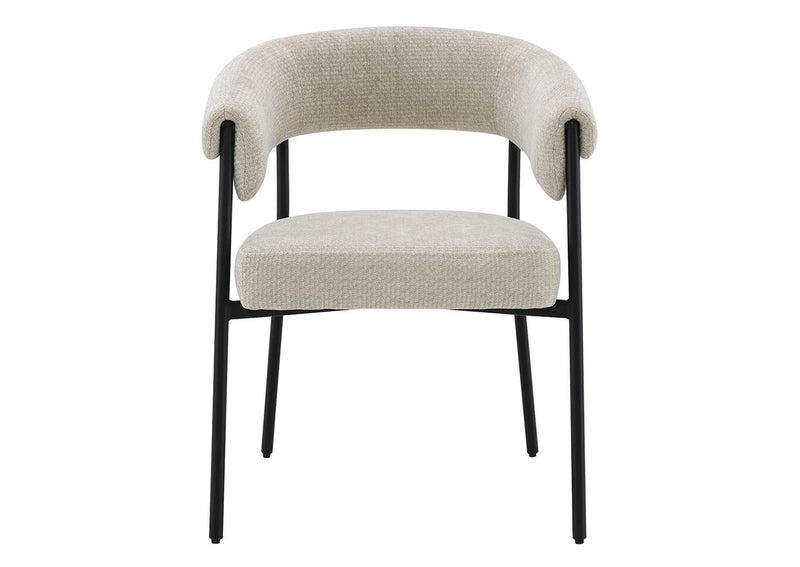 DN03676 Jirina Arm Chair - Set of 2