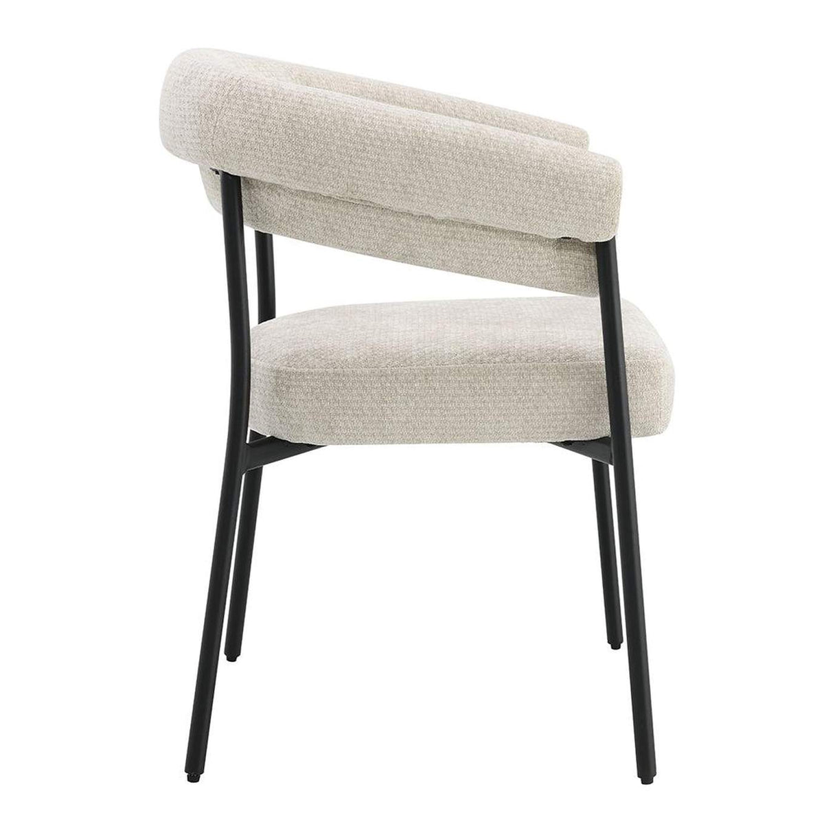 DN03676 Jirina Arm Chair - Set of 2