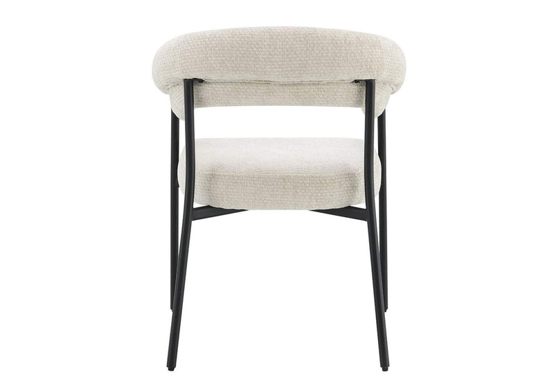 DN03676 Jirina Arm Chair - Set of 2