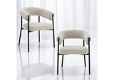 DN03676 Jirina Arm Chair - Set of 2