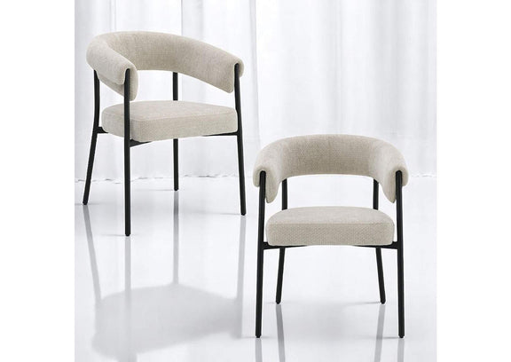 DN03676 Jirina Arm Chair - Set of 2