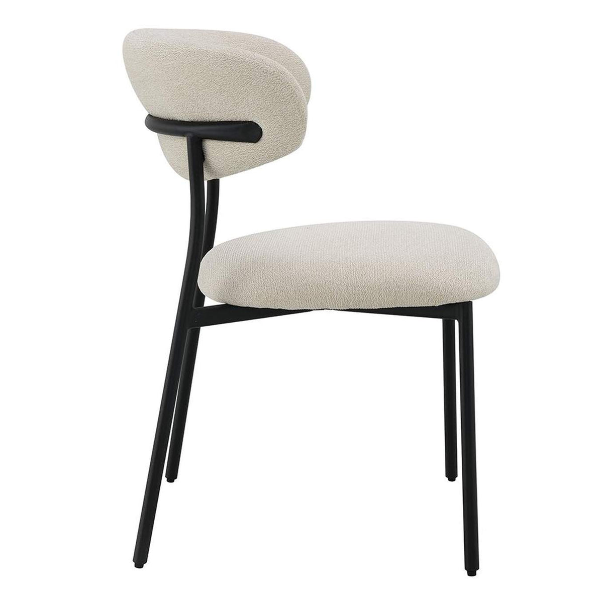 DN03677 Jirina Side Chair - Set of 2