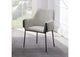 DN03678 Jirina Arm Chair - Set of 2