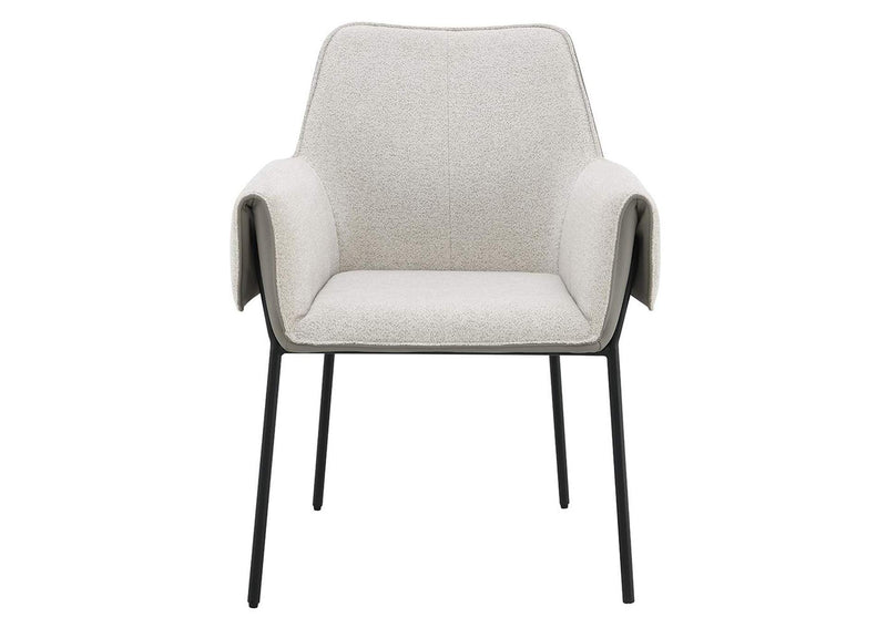 DN03678 Jirina Arm Chair - Set of 2