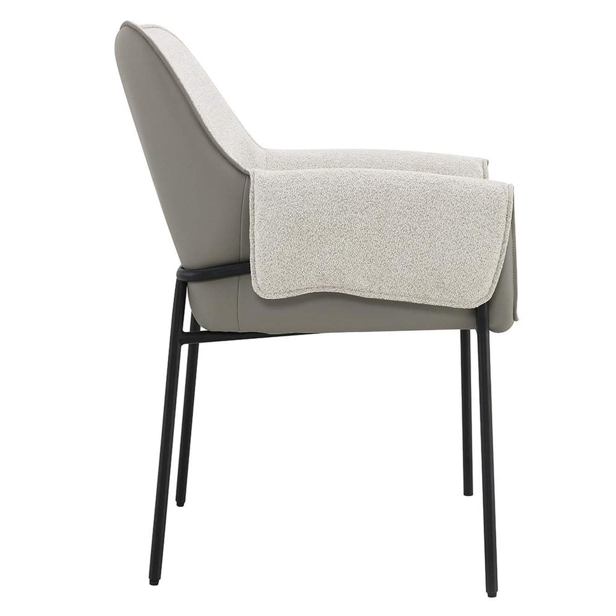 DN03678 Jirina Arm Chair - Set of 2