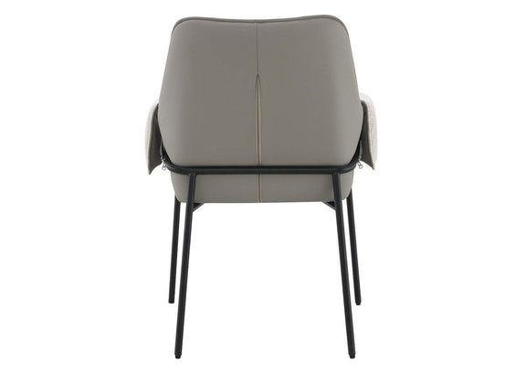 DN03678 Jirina Arm Chair - Set of 2