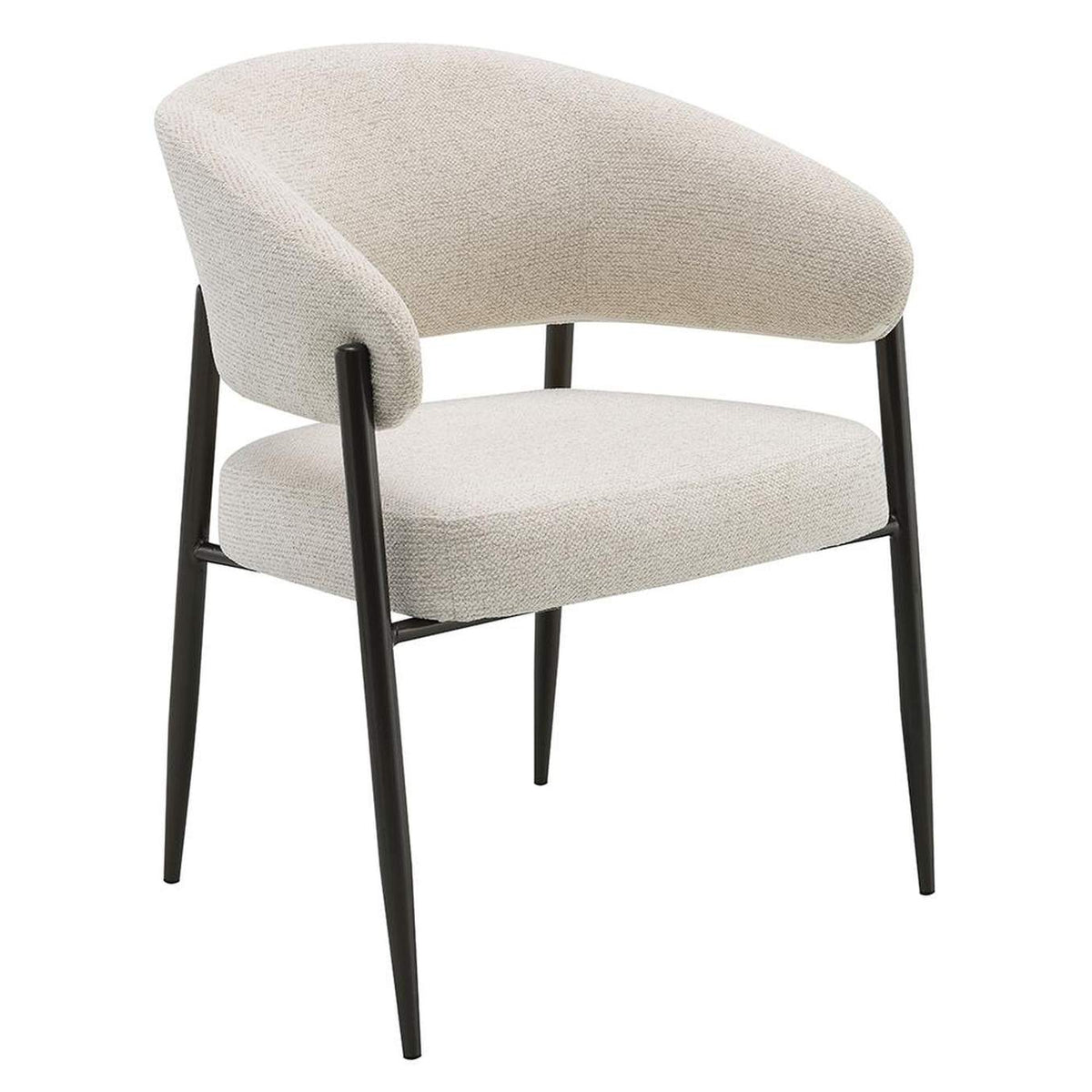 DN03679 Jirina Arm Chair - Set of 2