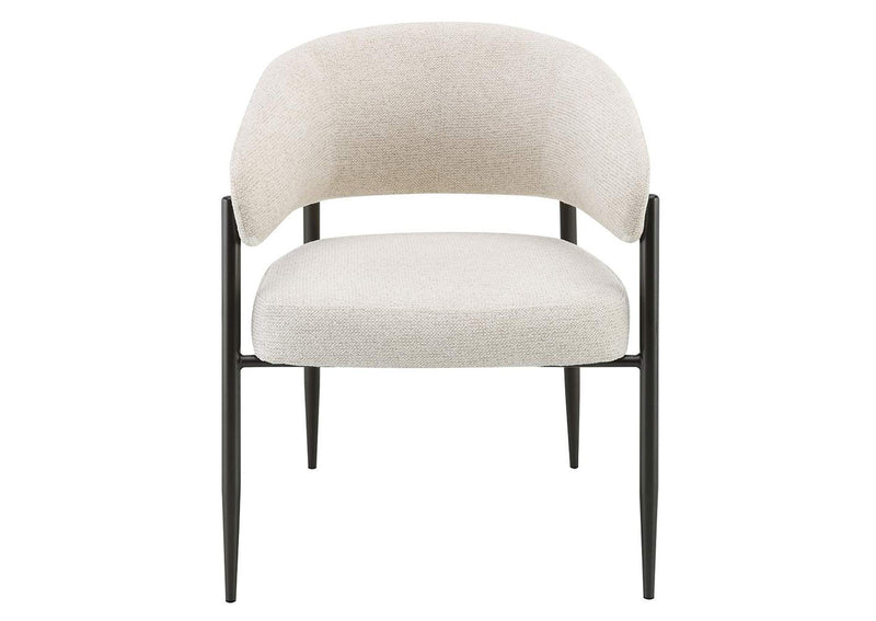 DN03679 Jirina Arm Chair - Set of 2
