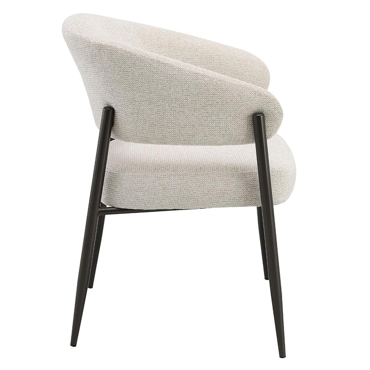 DN03679 Jirina Arm Chair - Set of 2