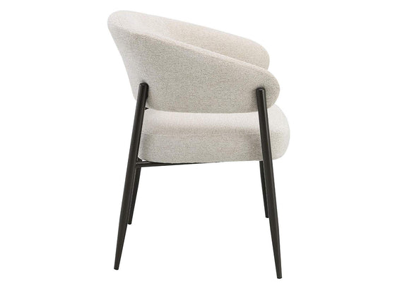 DN03679 Jirina Arm Chair - Set of 2