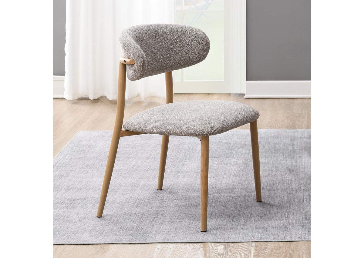 DN03716 Kacey Side Chair - Set of 2