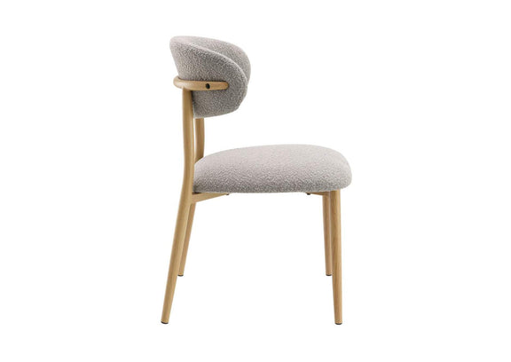 DN03716 Kacey Side Chair - Set of 2