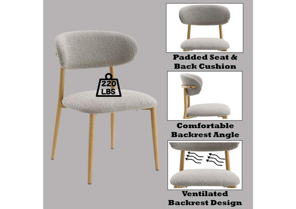 DN03716 Kacey Side Chair - Set of 2