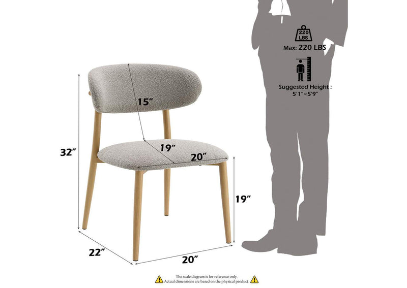 DN03716 Kacey Side Chair - Set of 2