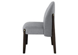 DN03941 Clayten Side Chair - Set of 2