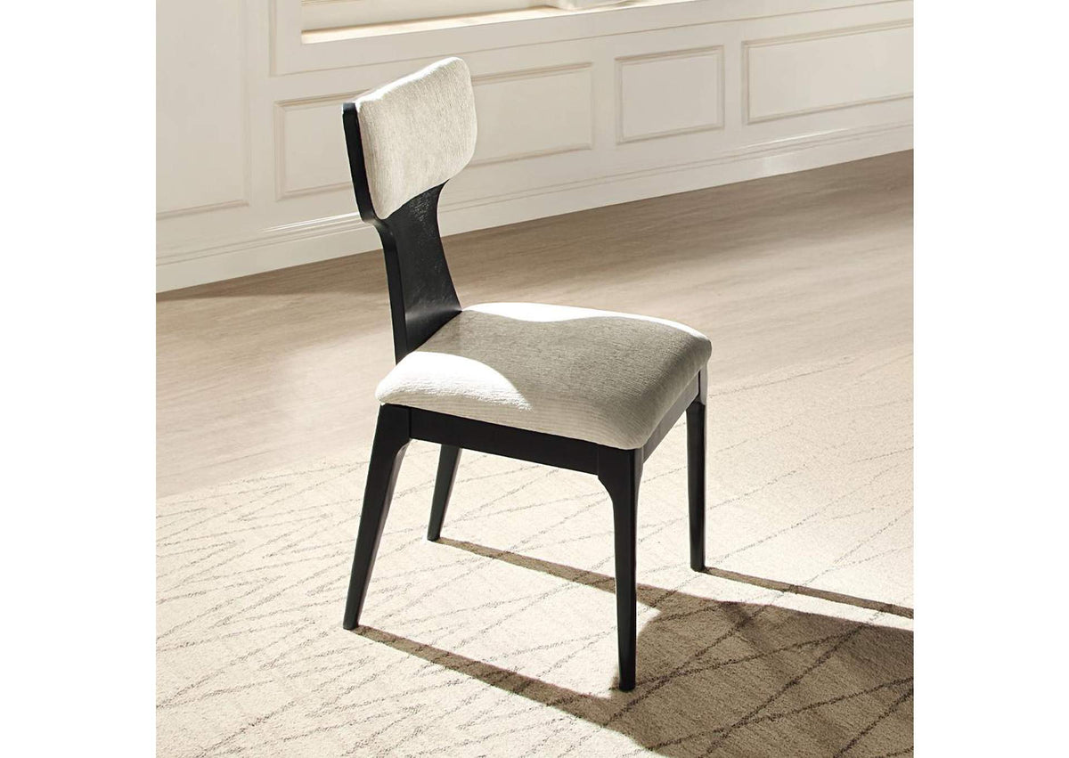 DN04066 Marioly Side Chair - Set of 2