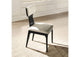 DN04066 Marioly Side Chair - Set of 2