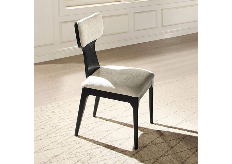 DN04066 Marioly Side Chair - Set of 2