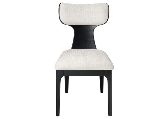 DN04066 Marioly Side Chair - Set of 2