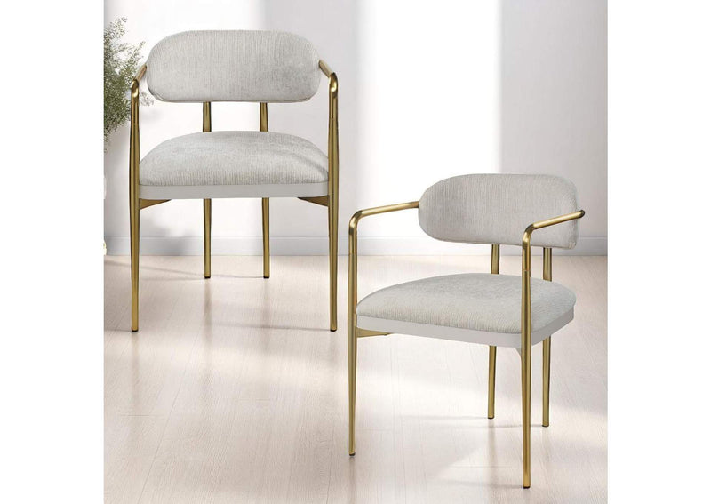 DN04206 Zayn Arm Chair - Set of 2