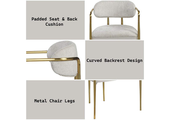 DN04206 Zayn Arm Chair - Set of 2