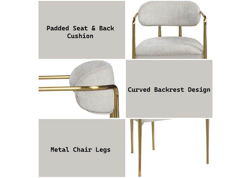 DN04206 Zayn Arm Chair - Set of 2