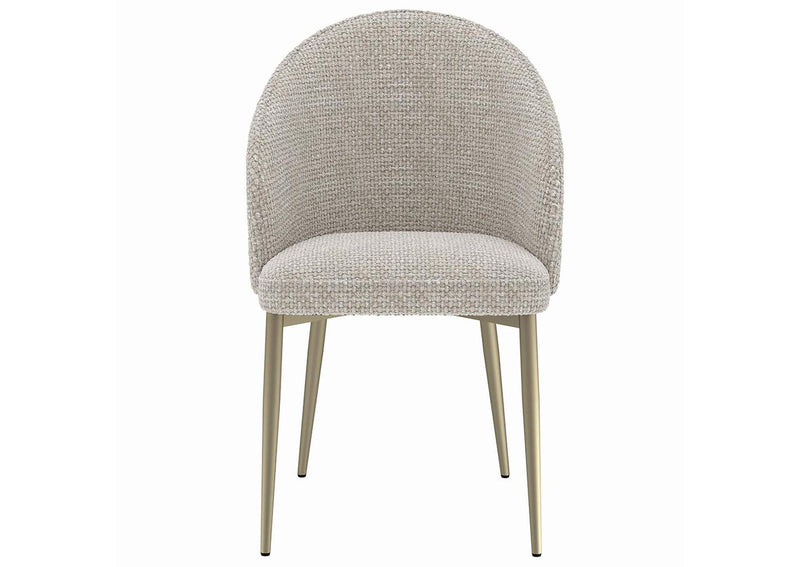 DN04296 Cora Side Chair - Set of 2
