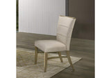 DN07036 Olinda Side Chair - Set of 2