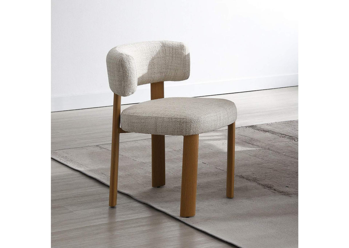 DN07071 Ogin Side Chair - Set of 2