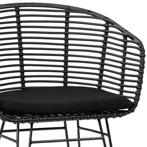 Ishani Dining Chair Set Of 2