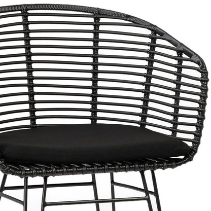 Ishani Dining Chair Set Of 2