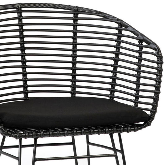 Ishani Dining Chair Set Of 2