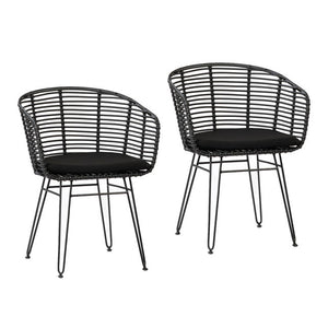 Ishani Dining Chair Set Of 2