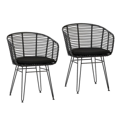 Ishani Dining Chair Set Of 2