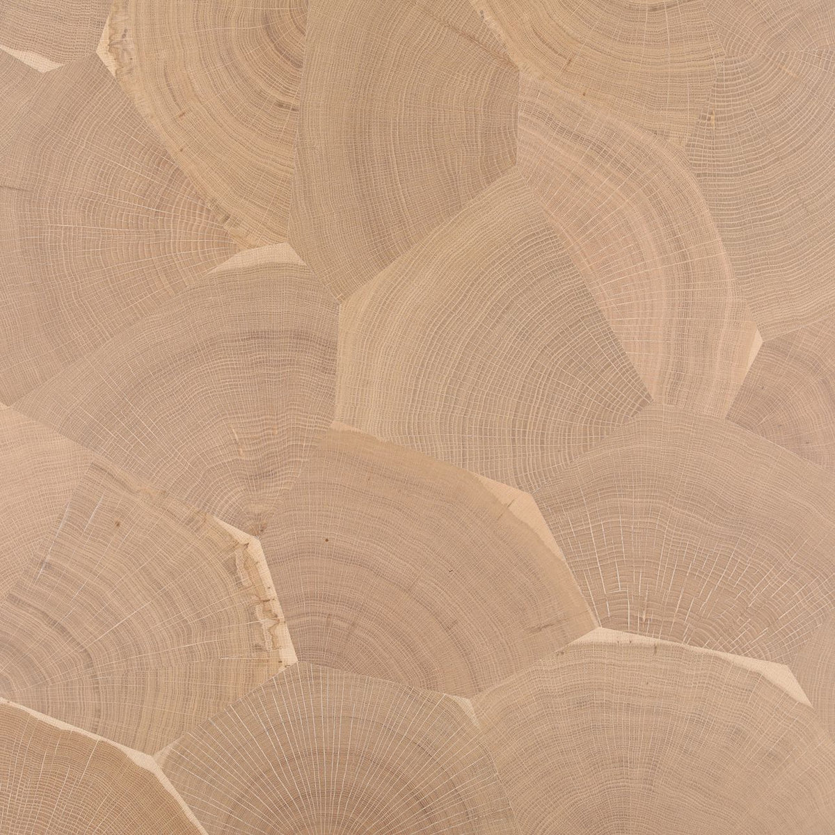 Evren Dining Table