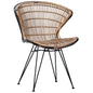 Armes Dining Chair