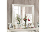 Geneva Mirror