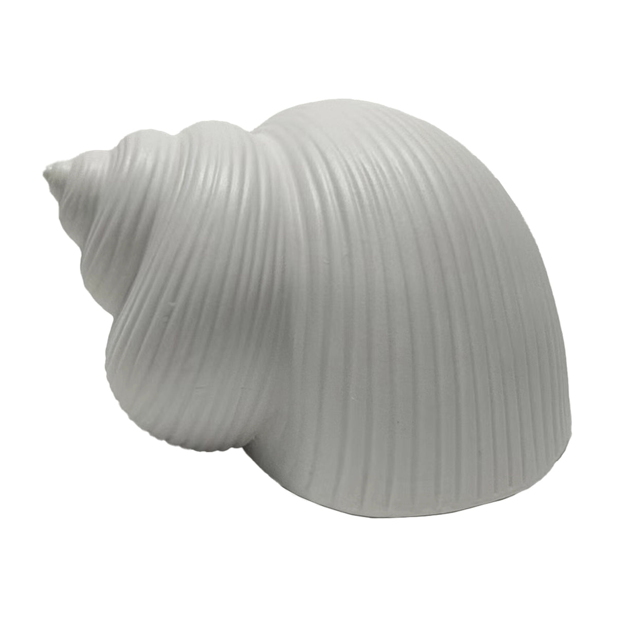 6" Bonnet Seashell - White