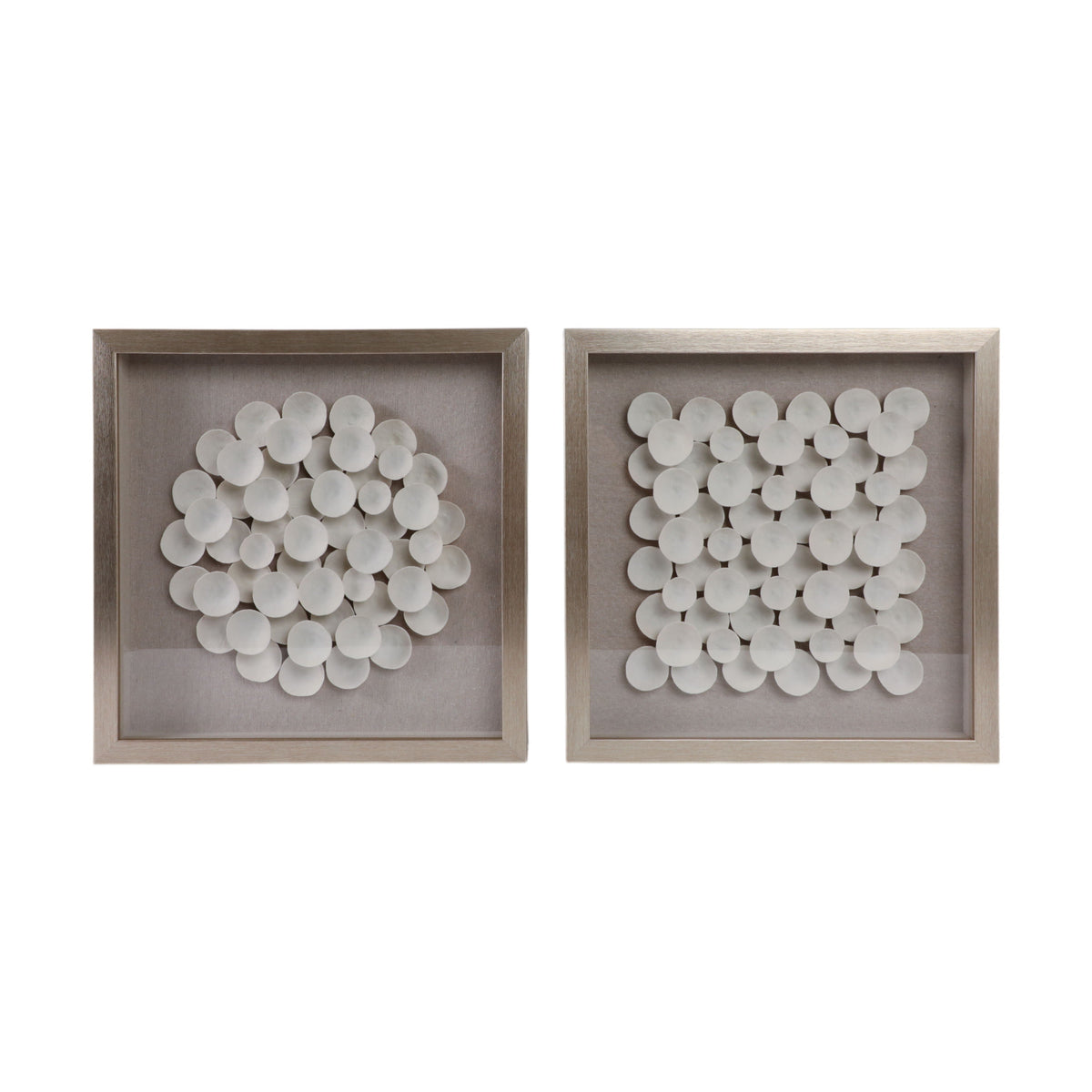 Dauphine Dimensional Botanical Shadowbox (Set of 2) - Gray